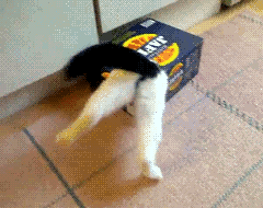 Into the box we go